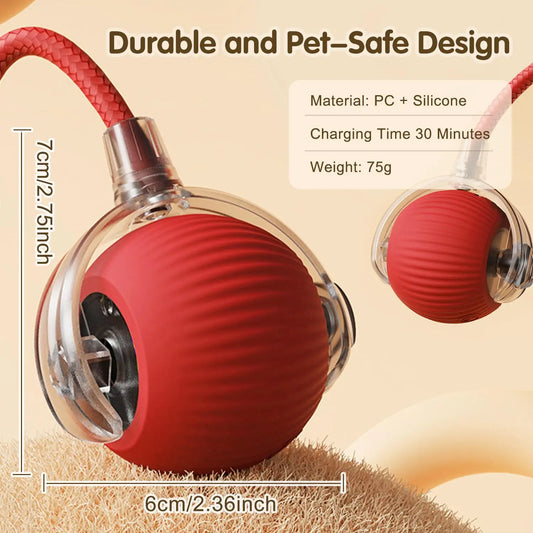 Aramnew SpinPurr Motion Ball
Rechargeable interactive play designed for playful paws.