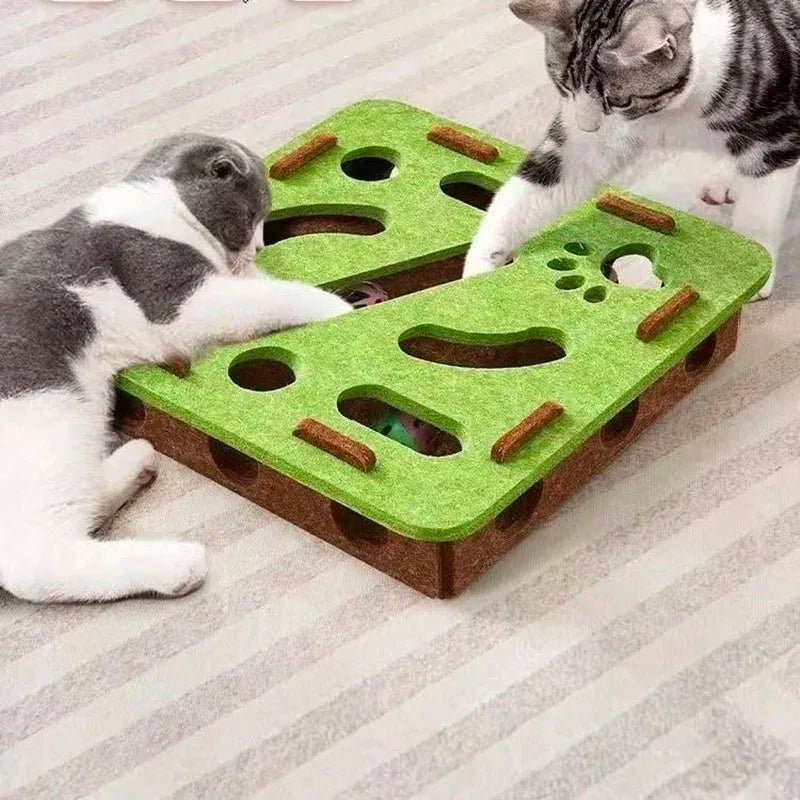 Whisker Wonderland Maze
