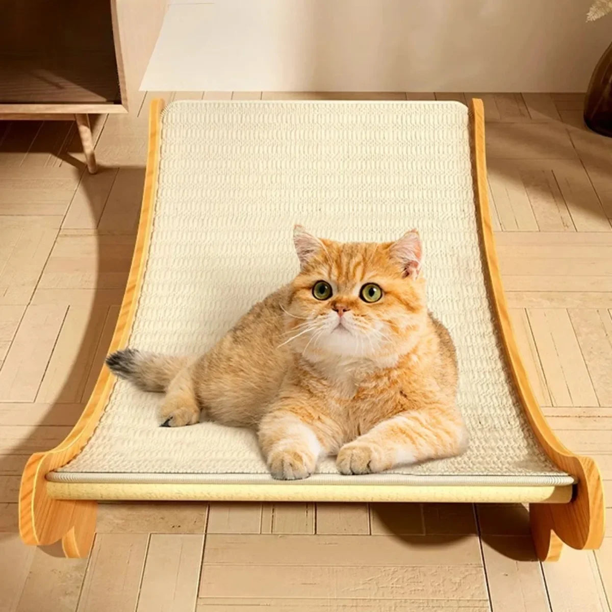 Aramnew PurrCraft Scratch Lounge
Durable wooden comfort for playful paws and peaceful naps.