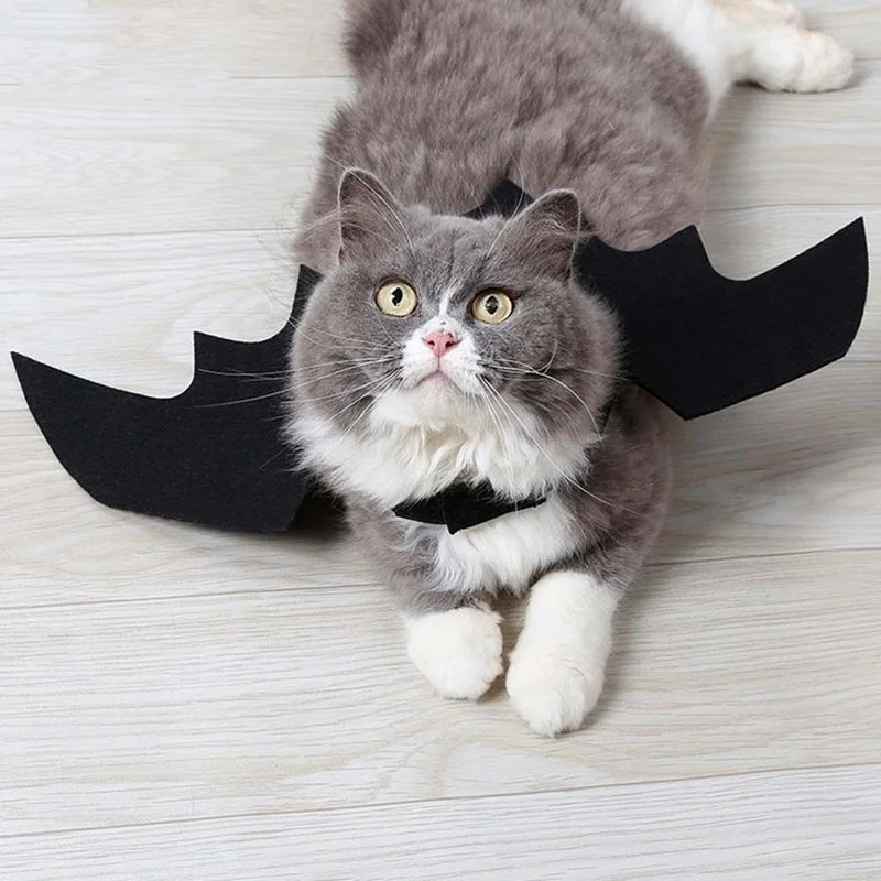 Fright Night Pet Black Bat Wings Wings Make Halloween Extra Cute & Spooky.
