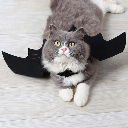 Fright Night Pet Black Bat Wings Wings Make Halloween Extra Cute & Spooky.