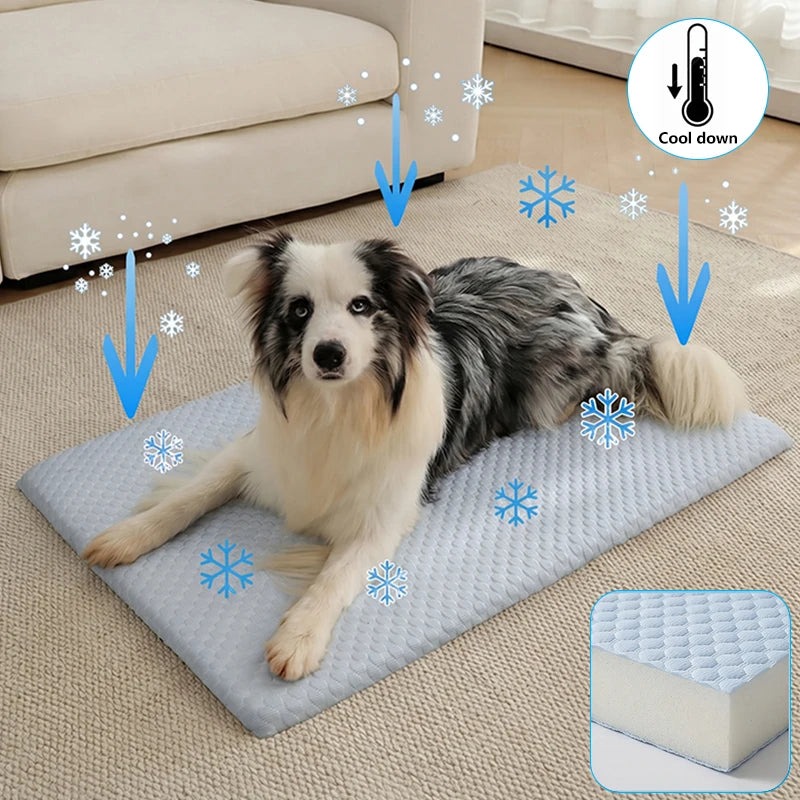 Aramnew IceCloud™ Pet Comfort Mat
Soft, washable and designed for refreshing everyday comfort.