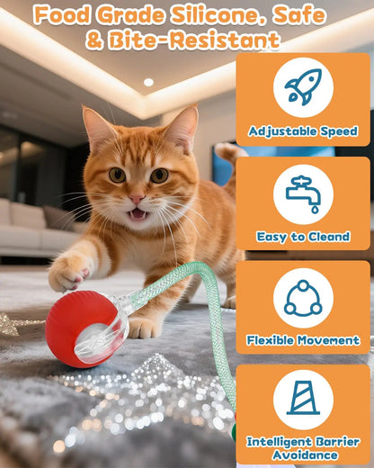 Aramnew SpinPurr Motion Ball
Rechargeable interactive play designed for playful paws.
