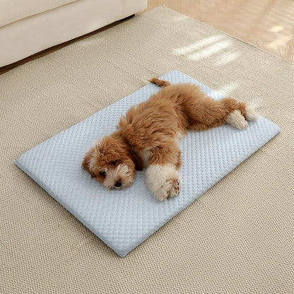 Aramnew IceCloud™ Pet Comfort Mat
Soft, washable and designed for refreshing everyday comfort.
