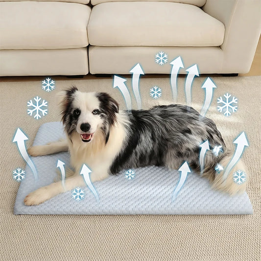 Aramnew IceCloud™ Pet Comfort Mat
Soft, washable and designed for refreshing everyday comfort.