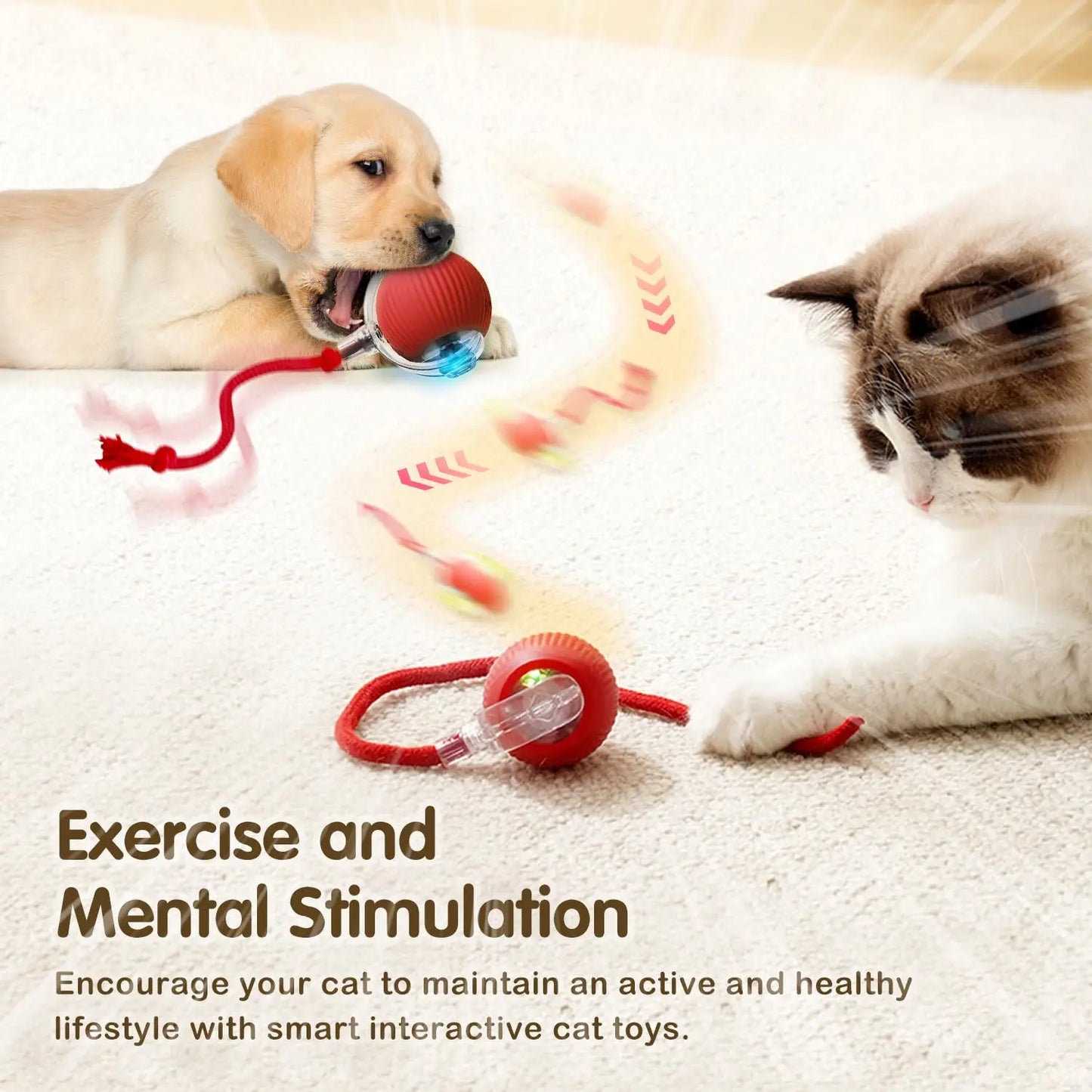 Aramnew SpinPurr Motion Ball
Rechargeable interactive play designed for playful paws.
