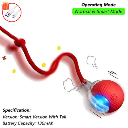 Aramnew SpinPurr Motion Ball
Rechargeable interactive play designed for playful paws.