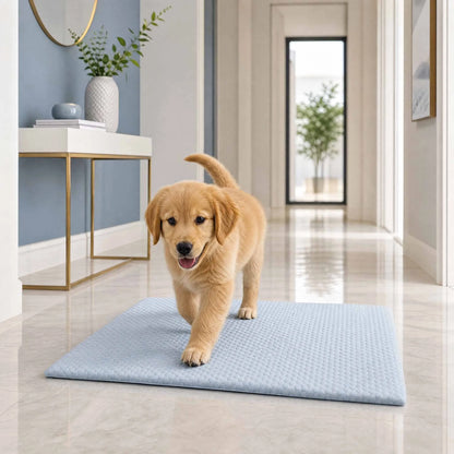 Aramnew IceCloud™ Pet Comfort Mat
Soft, washable and designed for refreshing everyday comfort.