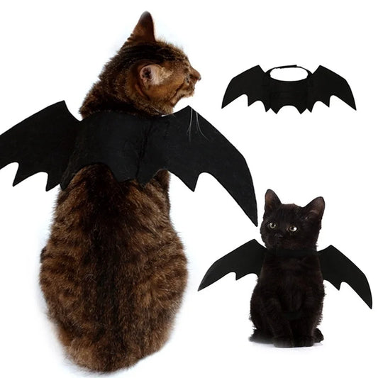 Fright Night Pet Black Bat Wings Wings Make Halloween Extra Cute & Spooky.