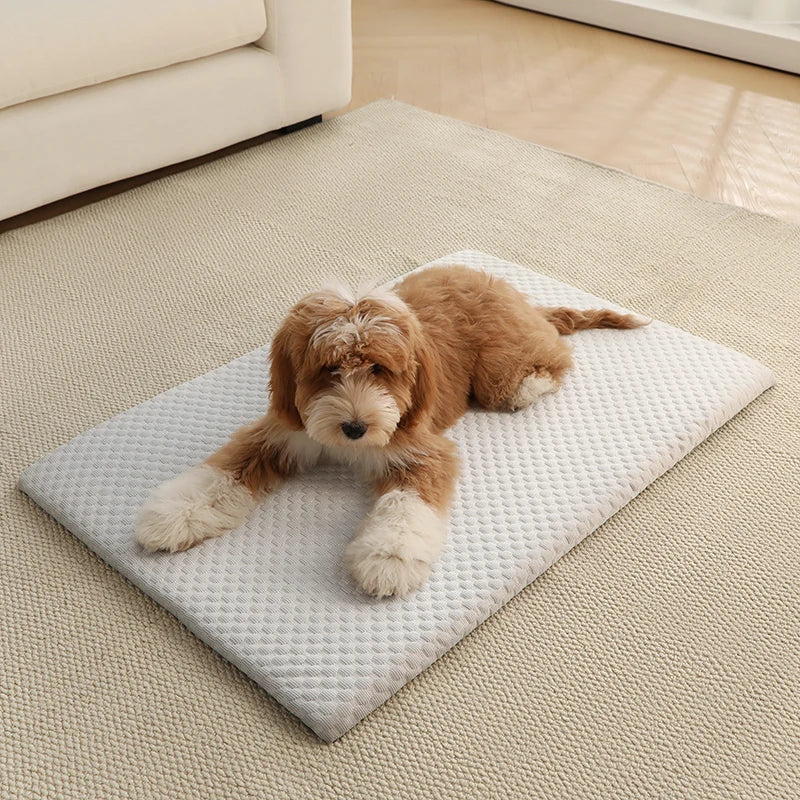 Aramnew IceCloud™ Pet Comfort Mat
Soft, washable and designed for refreshing everyday comfort.