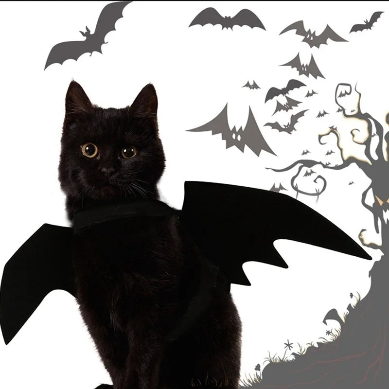 Fright Night Pet Black Bat Wings Wings Make Halloween Extra Cute & Spooky.