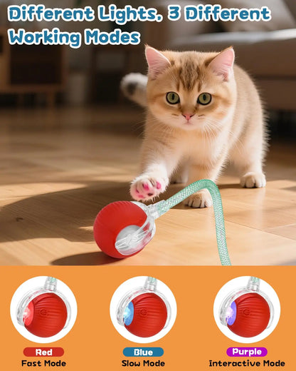 Aramnew SpinPurr Motion Ball
Rechargeable interactive play designed for playful paws.
