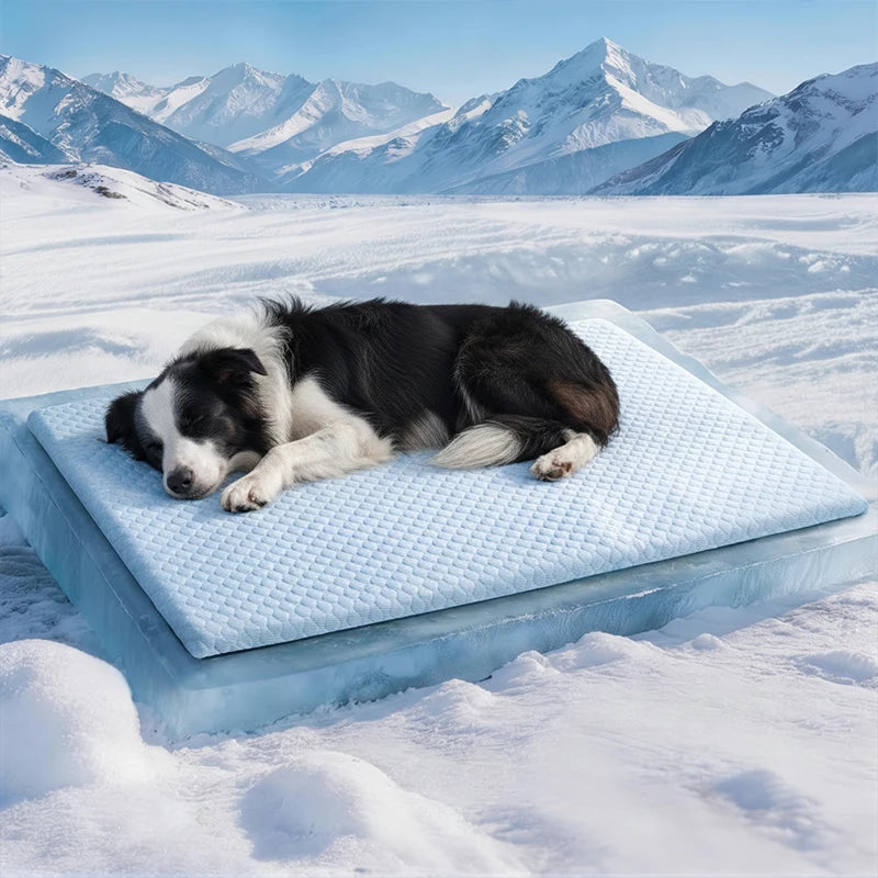 Aramnew IceCloud™ Pet Comfort Mat
Soft, washable and designed for refreshing everyday comfort.
