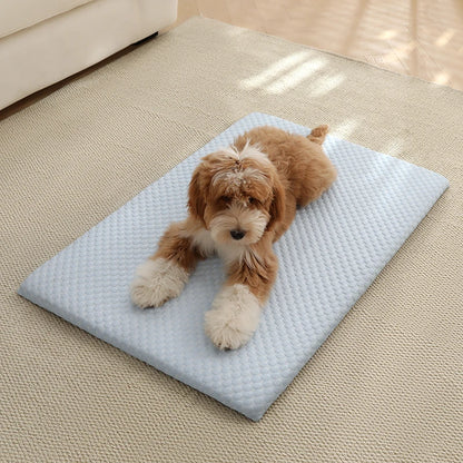Aramnew IceCloud™ Pet Comfort Mat
Soft, washable and designed for refreshing everyday comfort.
