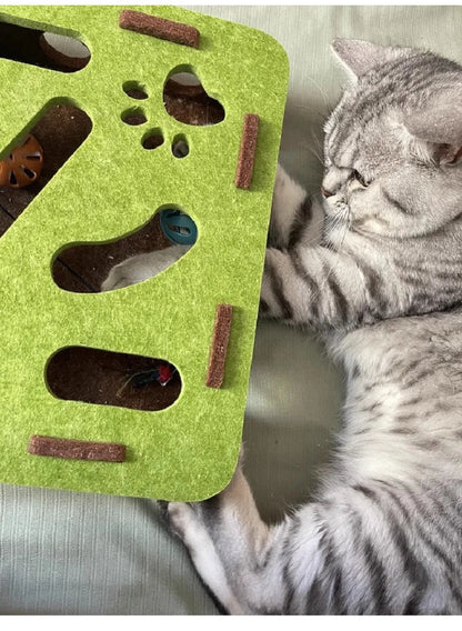 Whisker Wonderland Maze