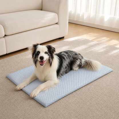 Aramnew IceCloud™ Pet Comfort Mat
Soft, washable and designed for refreshing everyday comfort.