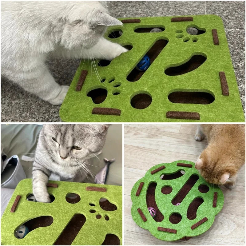 Whisker Wonderland Maze