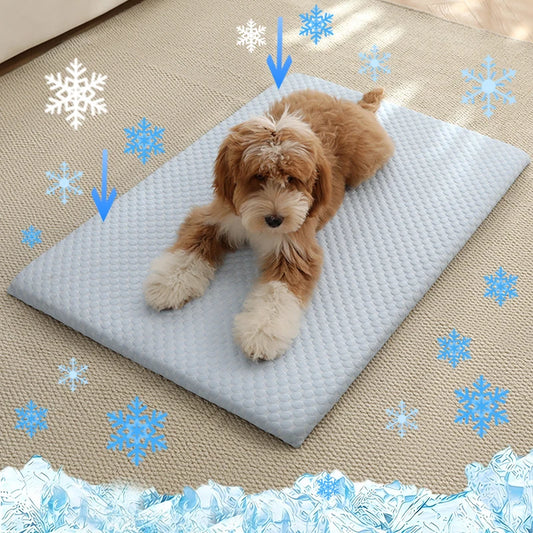 Aramnew IceCloud™ Pet Comfort Mat
Soft, washable and designed for refreshing everyday comfort.