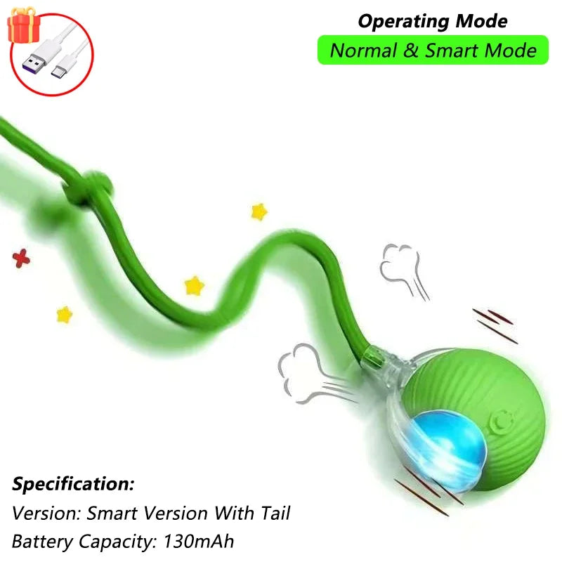 Aramnew SpinPurr Motion Ball
Rechargeable interactive play designed for playful paws.