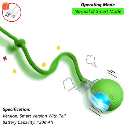 Aramnew SpinPurr Motion Ball
Rechargeable interactive play designed for playful paws.