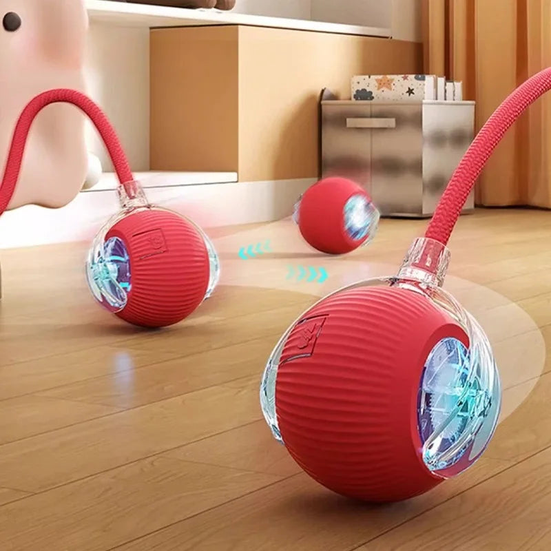 Aramnew SpinPurr Motion Ball
Rechargeable interactive play designed for playful paws.
