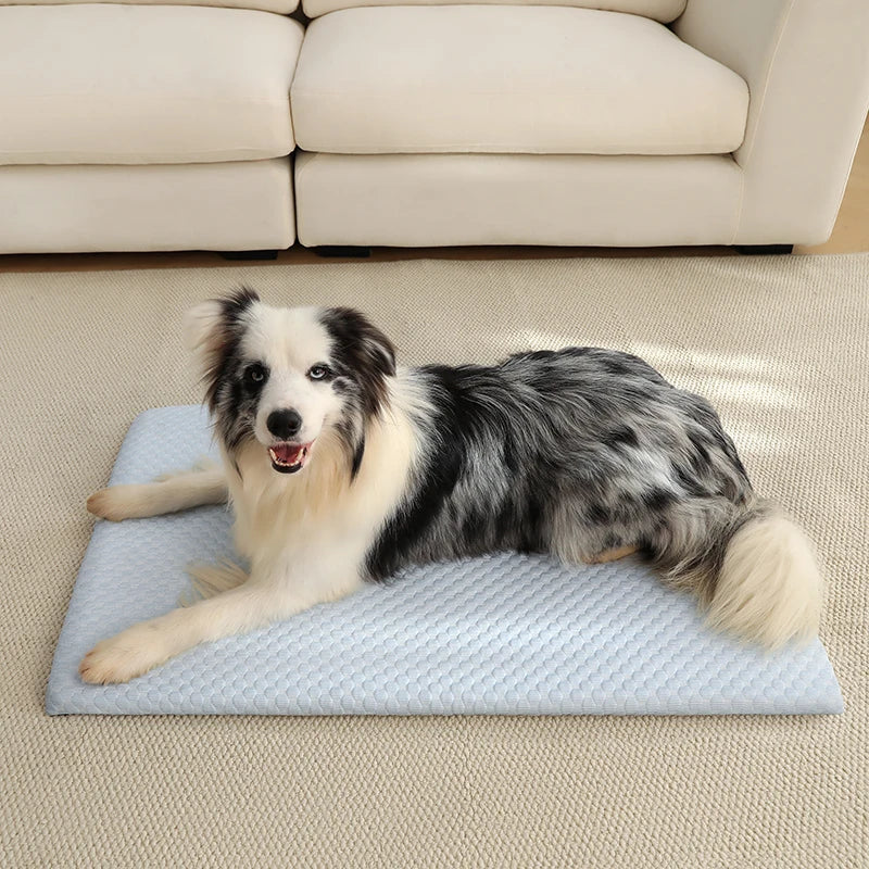 Aramnew IceCloud™ Pet Comfort Mat
Soft, washable and designed for refreshing everyday comfort.