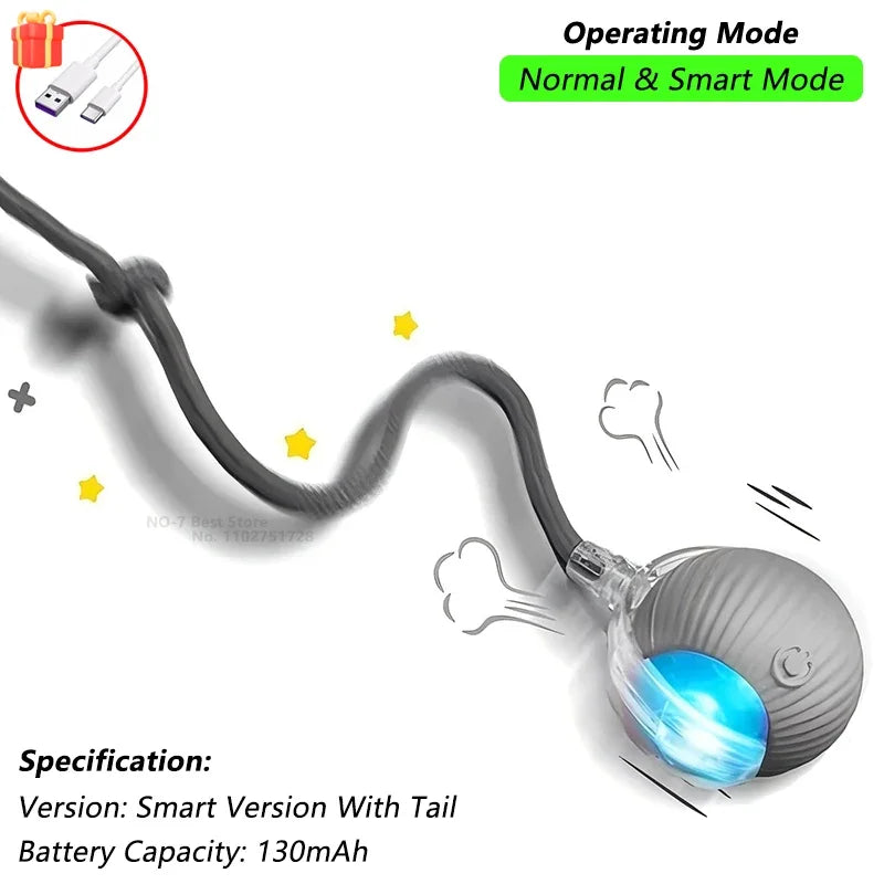 Aramnew SpinPurr Motion Ball
Rechargeable interactive play designed for playful paws.