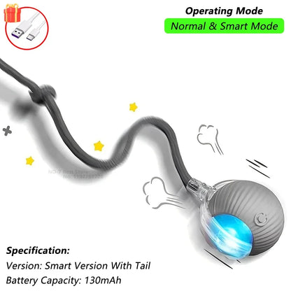 Aramnew SpinPurr Motion Ball
Rechargeable interactive play designed for playful paws.