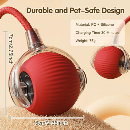 Aramnew SpinPurr Motion Ball
Rechargeable interactive play designed for playful paws.