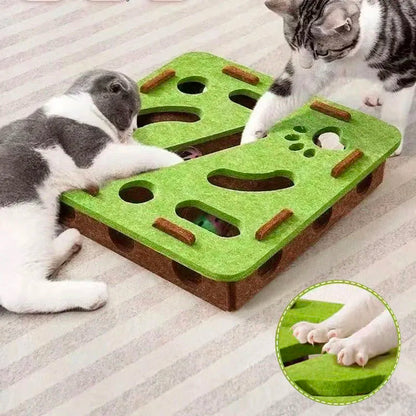 Whisker Wonderland Maze
