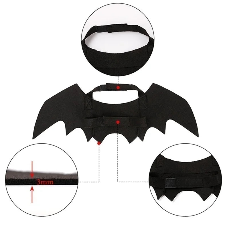 Fright Night Pet Black Bat Wings Wings Make Halloween Extra Cute & Spooky.