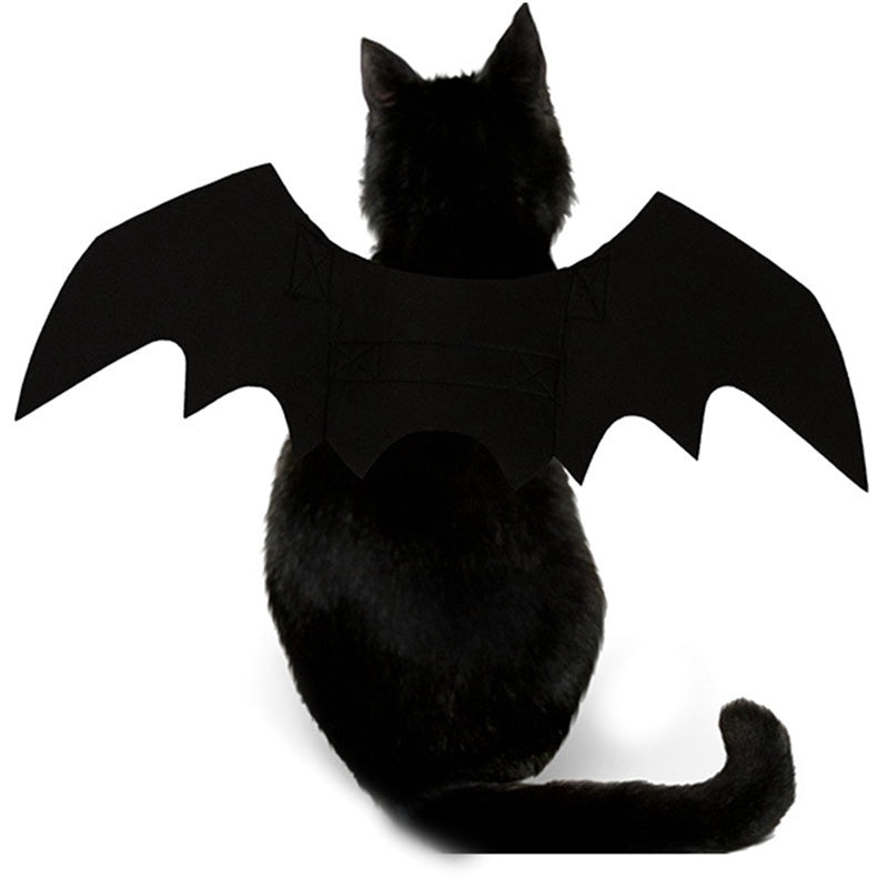 Fright Night Pet Black Bat Wings Wings Make Halloween Extra Cute & Spooky.