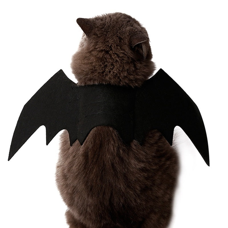 Fright Night Pet Black Bat Wings Wings Make Halloween Extra Cute & Spooky.