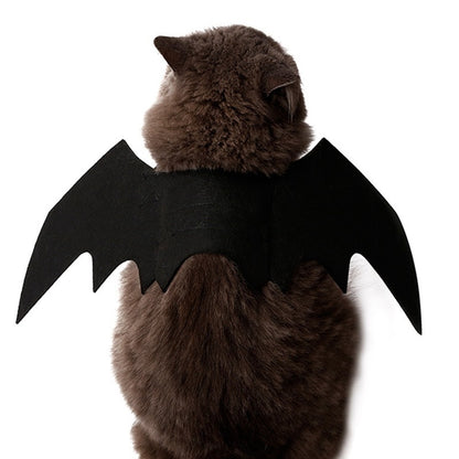 Fright Night Pet Black Bat Wings Wings Make Halloween Extra Cute & Spooky.