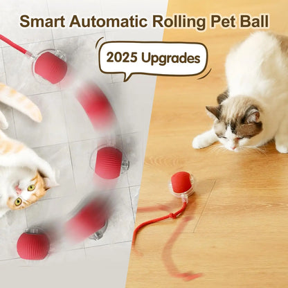 Aramnew SpinPurr Motion Ball
Rechargeable interactive play designed for playful paws.