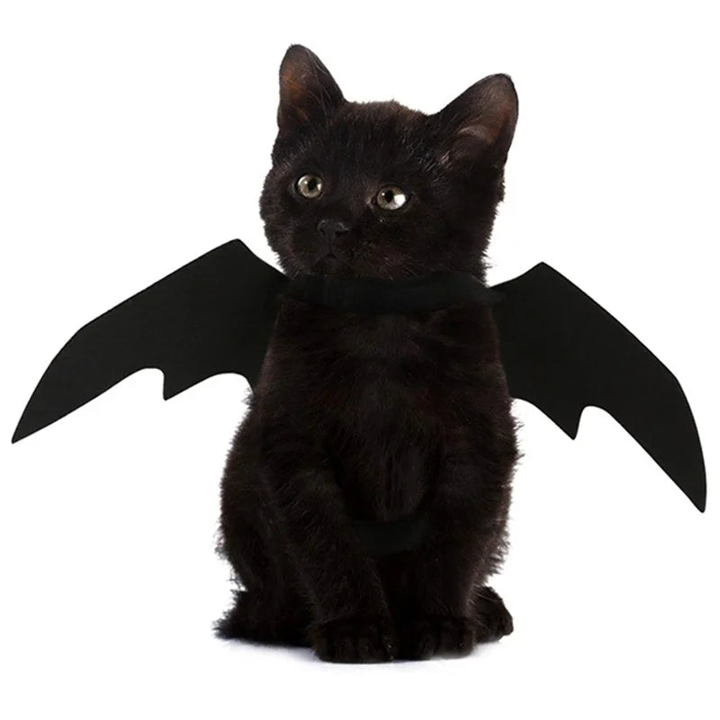 Fright Night Pet Black Bat Wings Wings Make Halloween Extra Cute & Spooky.