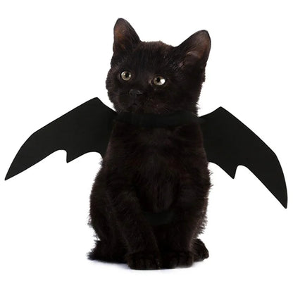 Fright Night Pet Black Bat Wings Wings Make Halloween Extra Cute & Spooky.